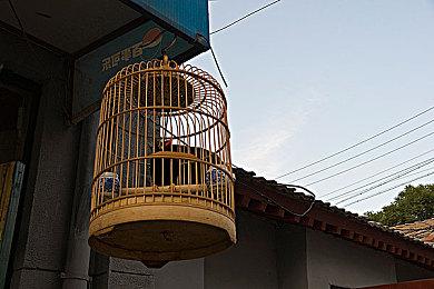 《尘埃拉力赛2.0》Steam新史低促销 仅售8元